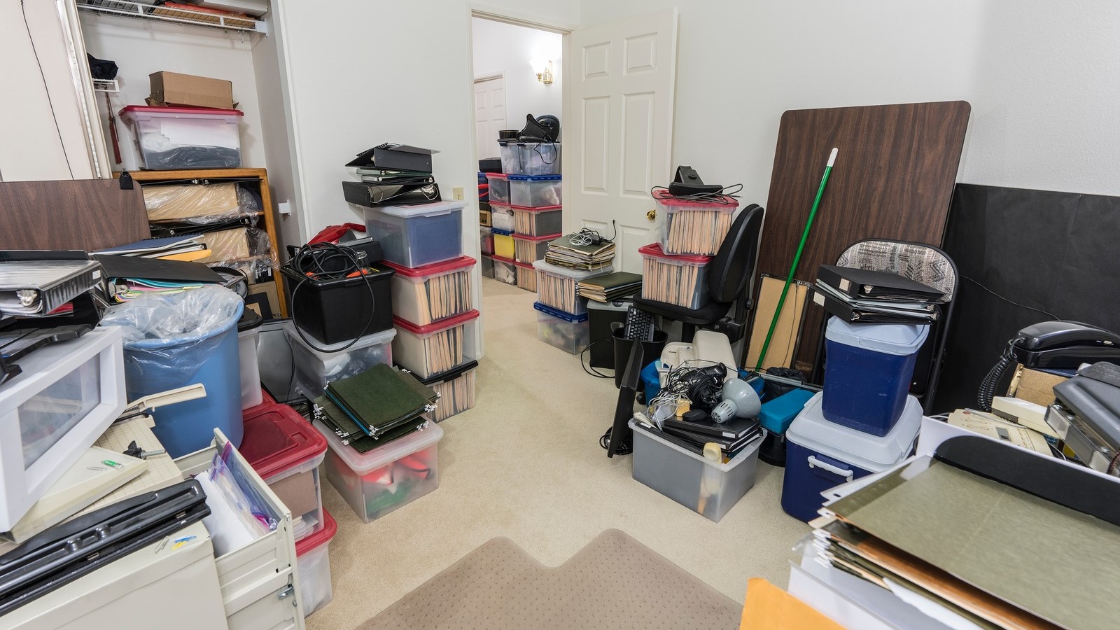 Newton MA Apartment Moving Services